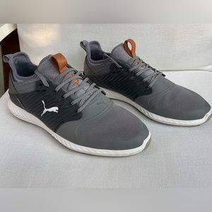 Puma Golf Men’s Ignite Pwradapt Caged Golf Shoe
